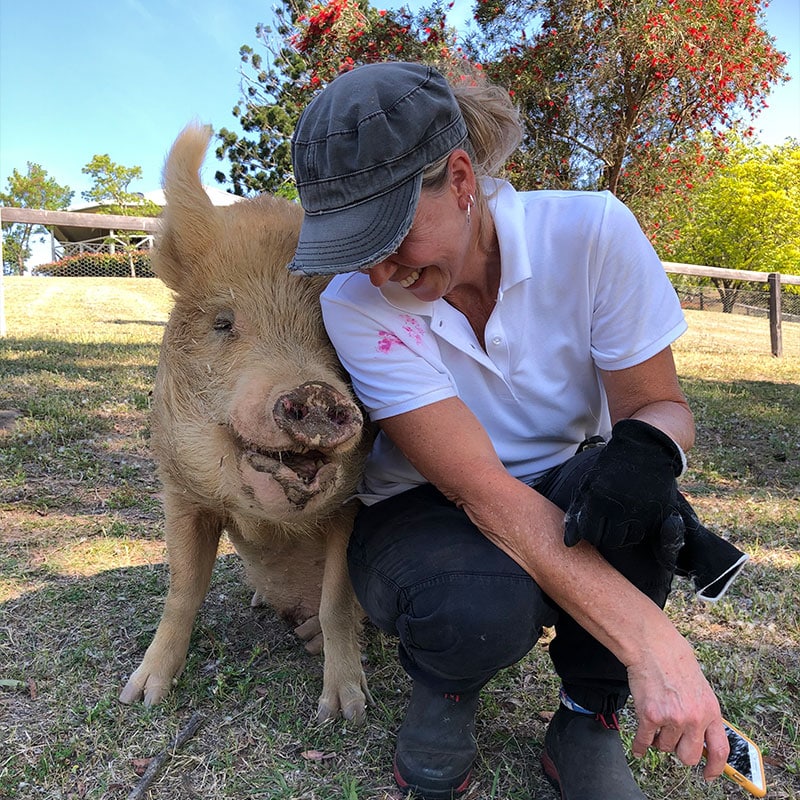 Animal Rescue | Where Pigs Fly Farm Sanctuary