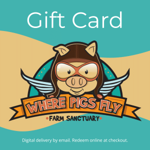 Digital Gift Card
