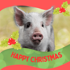 Donation Gift | Xmas | Baby Bubbs