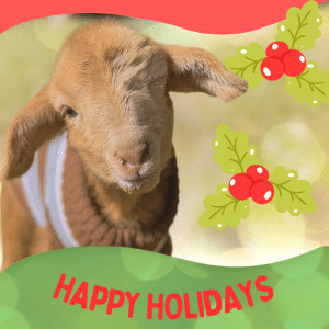 Donation Gift | Xmas | Willow