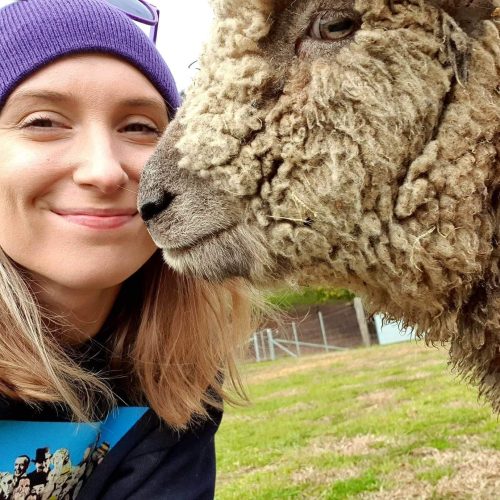 Visitors meeting rescued animals at Where Pigs Fly Farm Sanctuary