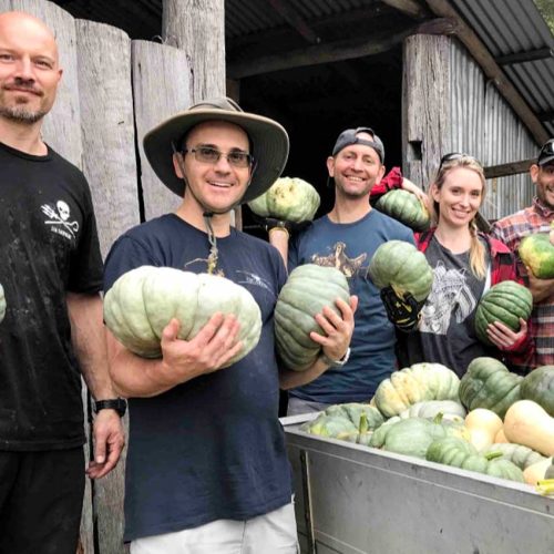 Volunteers helping rescued animals at Where Pigs Fly Farm Sanctuary